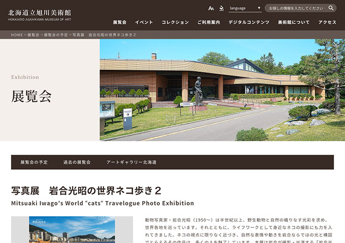 北海道立旭川美術館「写真展 岩合光昭の世界ネコ歩き２」【高大生料金】