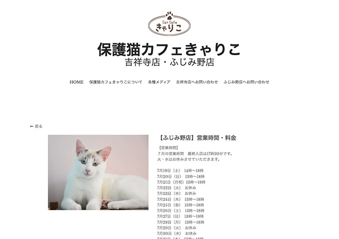 保護猫カフェきゃりこ ふじみ野店【学生料金】