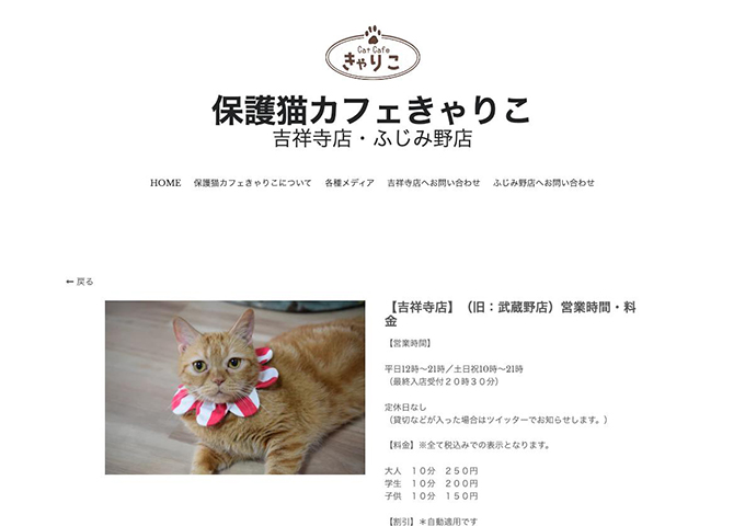 保護猫カフェきゃりこ 吉祥寺店【学生料金】