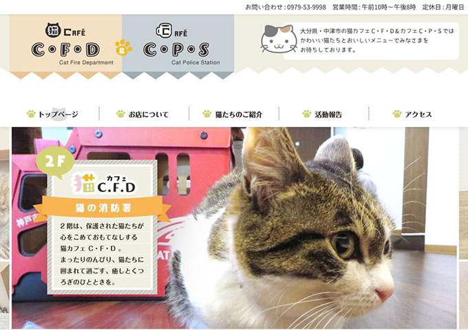 猫カフェC・F・D【学生割引 （土日祝）】