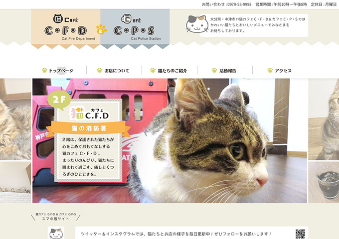 猫カフェC・F・D【学割サービス実施中！】