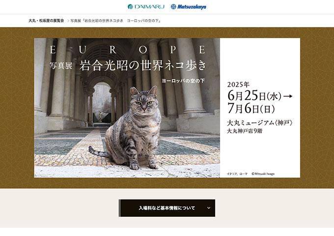大丸ミュージアム〈神戸〉「岩合光昭の世界ネコ歩き ヨーロッパの空の下」【大高生料金】
