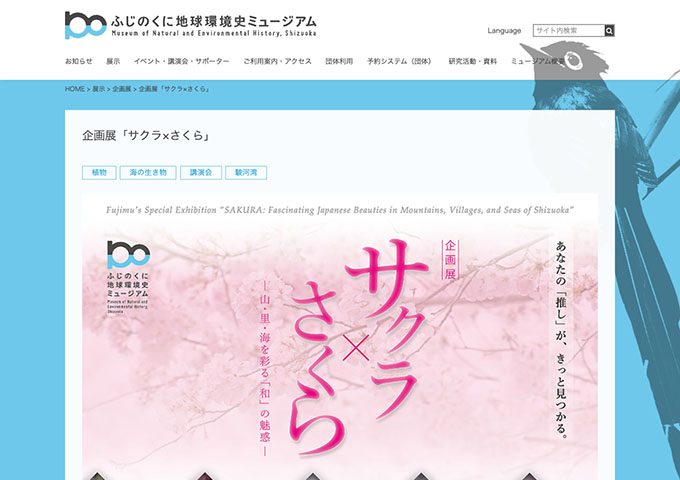 ふじのくに地球環境史ミュージアム「サクラ×さくら」12/6〜【大学生以下無料】