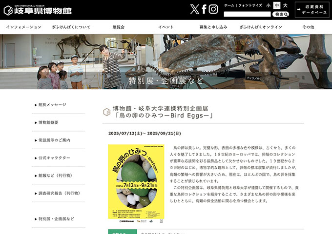 岐阜県博物館「鳥の卵のひみつ―Bird Eggs―」7/12〜【大学生料金】
