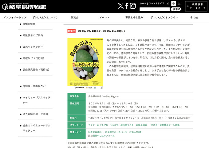 岐阜県博物館「鳥の卵のひみつ―Bird Eggs―」【大学生料金】