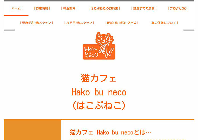 猫カフェ hako bu neco【学生料金】