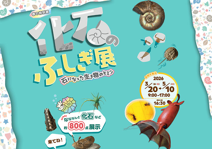 いのちのたび博物館「化石のふしぎ展　石になった生き物のヒミツ」【高大生料金】