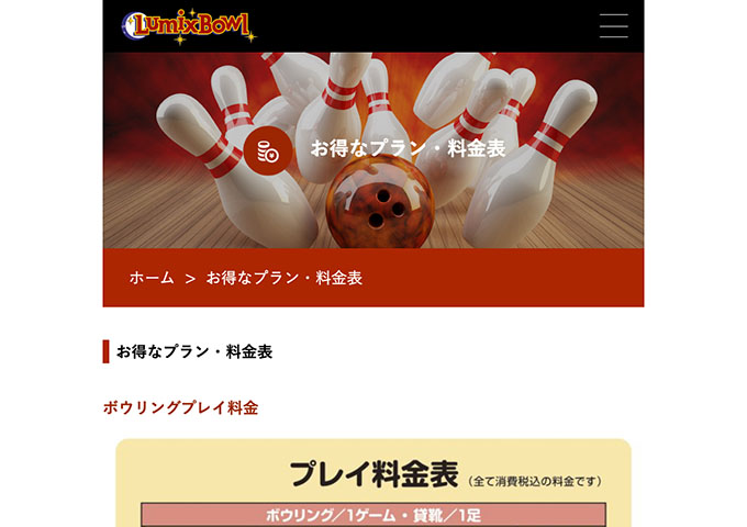 ルミックスボウル【高校・大学・専門料金】