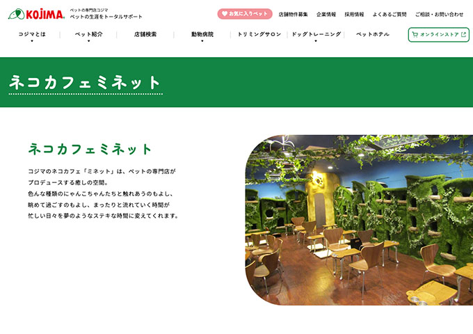ネコカフェ「ミネット」【フリータイム学割】