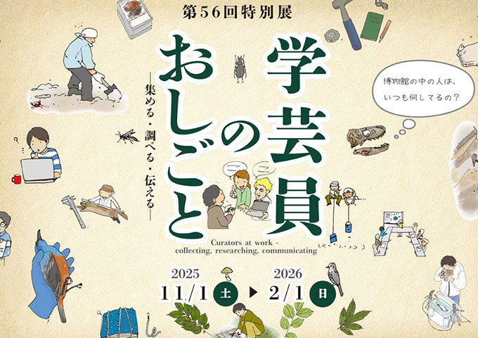 大阪市立自然史博物館「学芸員のおしごと」【高校生・大学生料金】