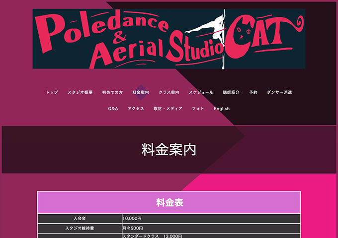 Poledance & Aerial Studio CAT【学生割引】