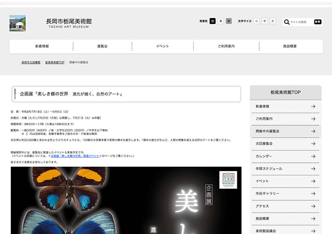 長岡市栃尾美術館「美しき蝶の世界 進化が描く、自然のアート」【高・大生料金】