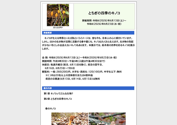 栃木県立博物館「とちぎの四季のキノコ」【大学生・高校生料金】