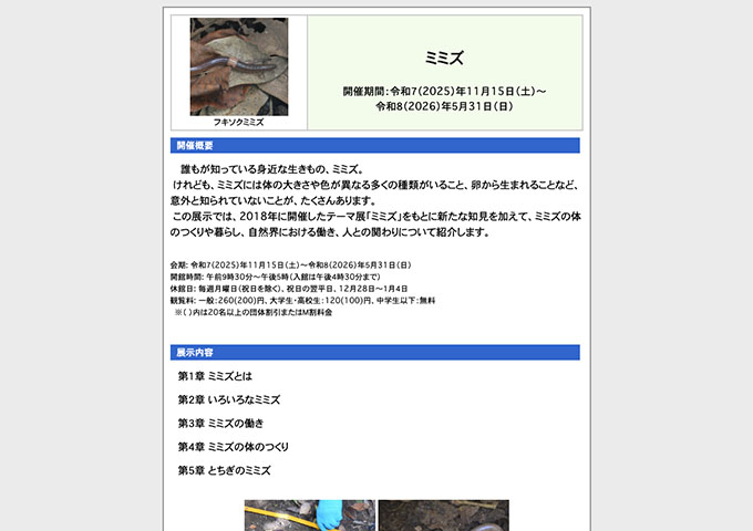栃木県立博物館「ミミズ」【大学生・高校生料金】