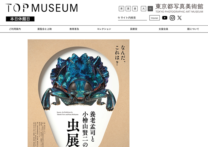 東京都写真美術館「養老孟司と小檜山賢二の虫展」【学生料金】