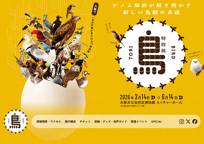 大阪市立自然史博物館「鳥～ゲノム解析が解き明かす新しい鳥類の系統～」【高大生料金】